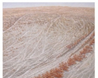 洪荒之花:读许洪卫油画