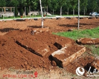 青州市博物馆新征集一批清代画像石墓构件