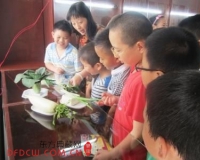 88˿̳Ĳһľ 28괴4ϵƷ 