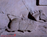 昭陵六骏石刻:什伐赤 白蹄乌 特勒骠 青骓