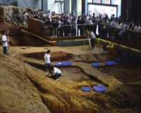 唐代西亚人专程到长沙定做瓷器