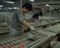 复活版西夏瓷器实现商品化传承