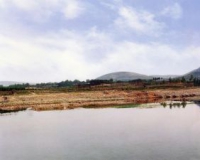 小邾国贵族墓出土铜器鉴赏