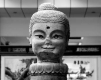 工地惊现1500年前佛头:背后隐藏不为人知的故事