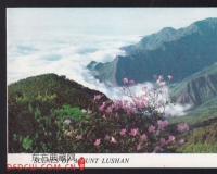 邮票中的避暑胜地