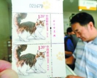 1套4枚《猫》特种邮票全国发行