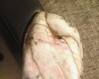 天价玉石不翼而飞竟是被邻居捡走