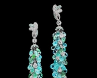 再火热的世界杯也掩盖不了巴西珍宝的光芒