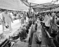 世界奇石亮相群力