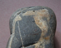 奇石阆苑双典现身鱼水之滨