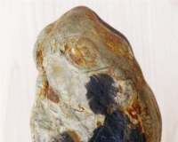 九龙壁奇石:读书郎背倚古树