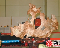 来自星星的你搅起陨石收藏涟漪