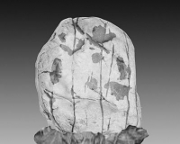 李志向:收藏是为了传承古今