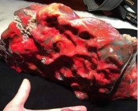 打鸡血的石头价值上亿元