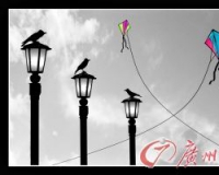 首届深圳国际摄影周开幕:全市10展馆向市民开放