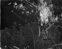 本周六艺术2号馆 版画家张远帆个人作品展开幕