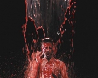 Ӱ��װ�����������ȶ���ά������չ����798