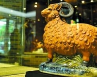 ��ɽ���й��մ���������Ļ