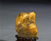 ������ƾ�Ʒչ���ྩ��(ͼ)