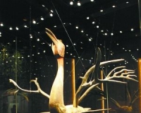 ���Ļ���չ���ྩ��