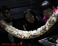 ǧ���������������˼�԰