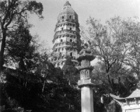 ������101�������������ݲ����