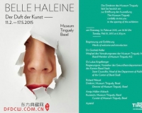 ��ʿ����֮ζ��չ��Ļ(ͼ)