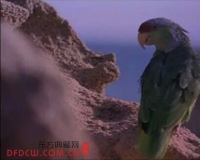 ���������ݾٰ�ɳ�͹�ά������ʵ��Ӱ��չ