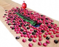 ����������ֵ���˵