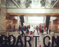 д��¥������������¿�����(ͼ)