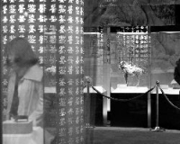 ���硶����ͨ�������౱��̫������ֵ��300��Ԫ