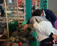 ר��֧�м�������ʯ��ɫ������ �����뿴֤��