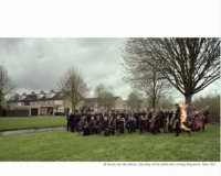 荷兰艺术家影像作品亮相M WOODS美术馆