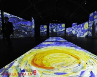 新天地湖畔巨幕加动画的梵高展到底什么样