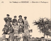 透过老照片细细品味法国葡萄酒历史