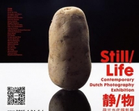 荷兰静物摄影如何还原属于一个土豆的优雅