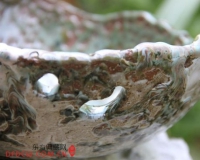 陈旭明陶艺个展将亮相熙艺术空间