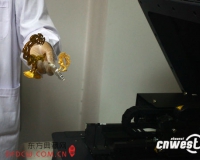 探秘文物修复:给文物拍片子用3D技术复制
