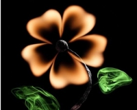 摄影艺术:袅袅青烟与火焰的生命光芒