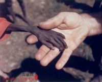 世上最撼动人心的摄影作品欣赏