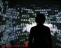 属于年青一代的新媒体艺术:性 生命和录影带