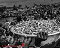 纪实摄影:黑白渔村(图)