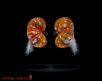 观念摄影:腐烂的三分之一(图)