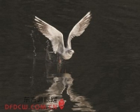 人生V时刻摄影展示征集收尾