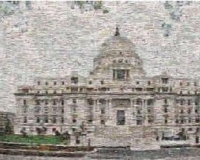 多元化镜像映出青年力量