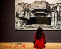 回顾2014年的摄影秀