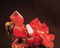 猫矿已成收藏的流行门类