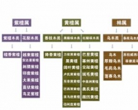 五属八类辨红木
