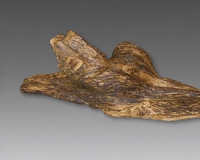 盘点收藏市场6类疯狂收藏品