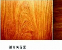 如何辨别海南黄花梨与越南黄花梨